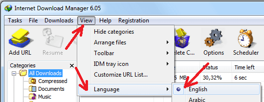 Select English interface language in IDM