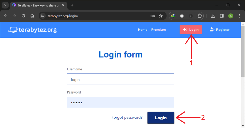 Login on Terabytez site