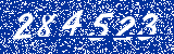 Capcha image